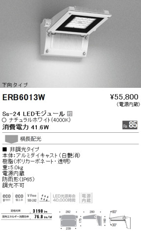 ƣ ENDO LED ȥɥ ERB6013W ᥤ̿