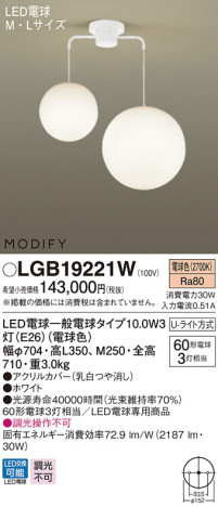 Panasonic LED ǥꥢ LGB19221W ᥤ̿