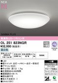 ODELIC ǥå LED 󥰥饤 OL251823NGR