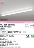 ODELIC ǥå LED ١饤 OL291681R2B