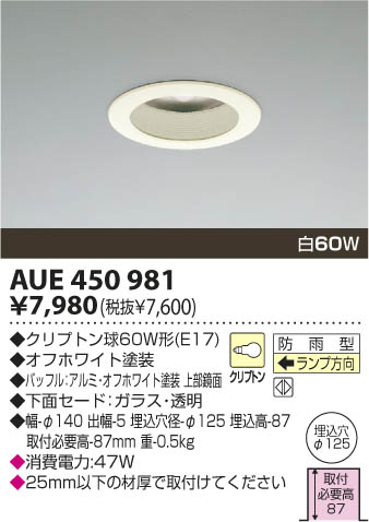 コイズミ照明 KOIZUMI 軒下用ダウンライト AUE450981 | 商品紹介