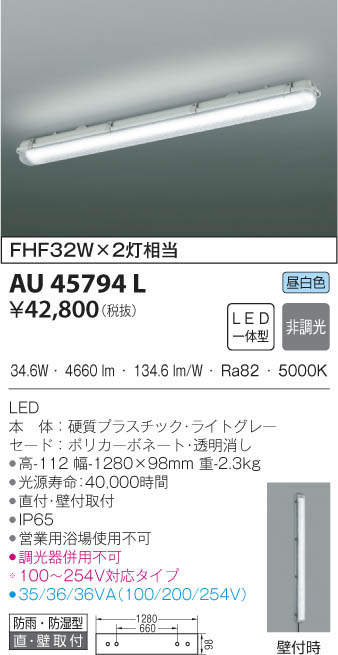 コイズミ LED照明 防雨防湿型 シーリングライト 屋外用 AU45794L