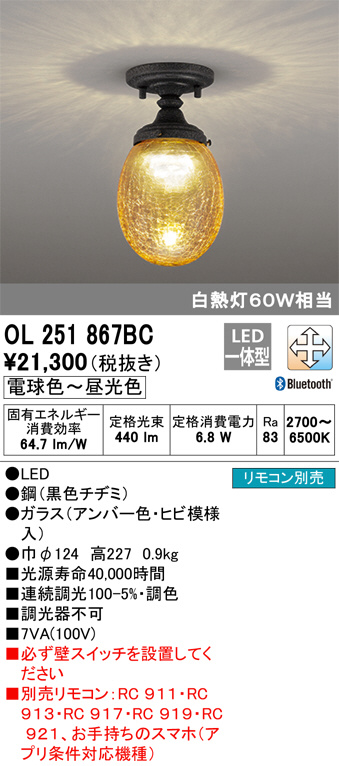 ODELIC オーデリック 小型シーリングライト OL251867BC | 商品紹介